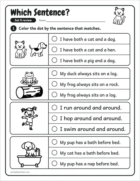 Which Sentence?: a review sheet from the first grade sight word pack