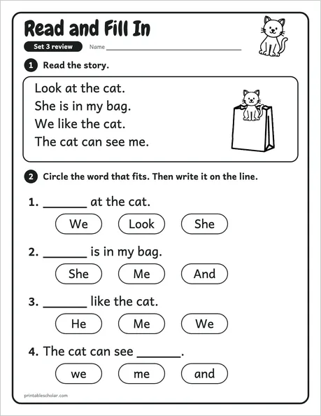 Read and Fill In: a review sheet from the kindergarten sight word pack