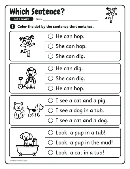 Which Sentence?: a review sheet from the kindergarten sight word pack