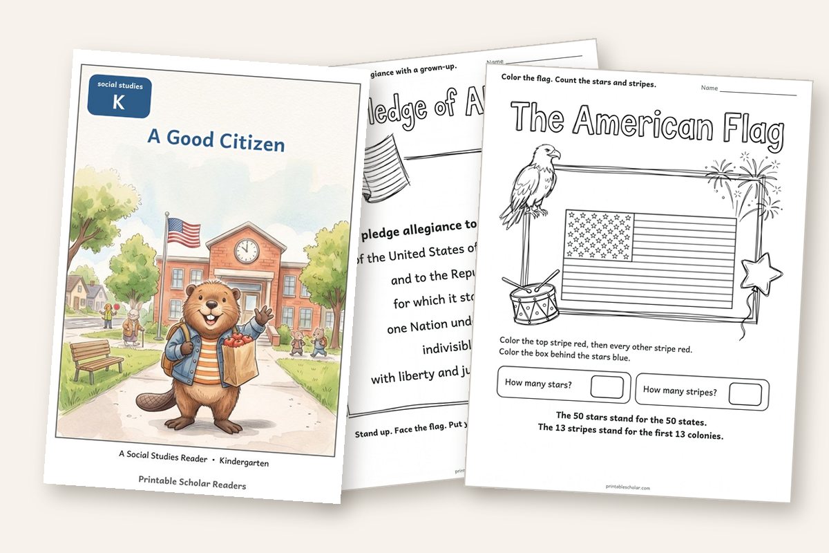 Good Citizens pack: the reader and worksheets