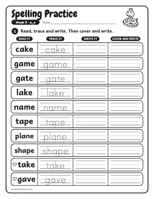 1st grade spelling week 9: practice preview