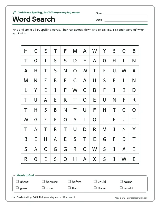 2nd Grade Spelling, Set 3: Tricky everyday words: word search preview