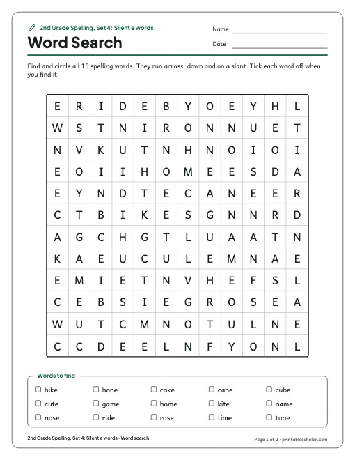 2nd Grade Spelling, Set 4: Silent e words: word search preview
