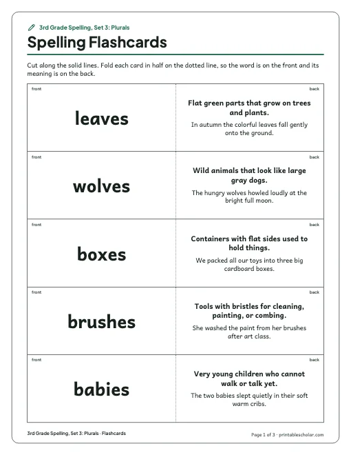 3rd Grade Spelling, Set 3: Plurals: flashcards preview