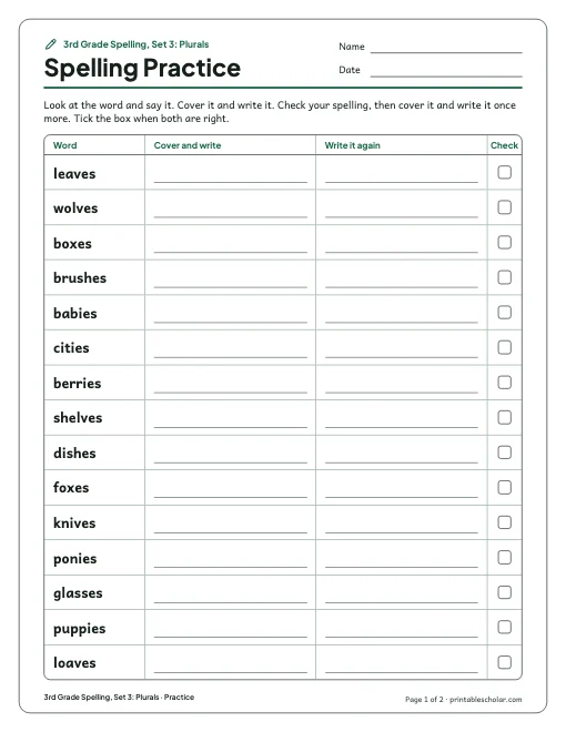 3rd Grade Spelling, Set 3: Plurals: practice and test preview