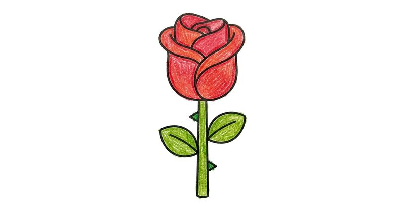 How to Draw a Rose: the finished drawing, colored in