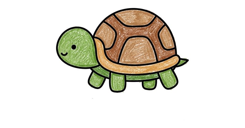 How to Draw a Turtle: the finished drawing, colored in
