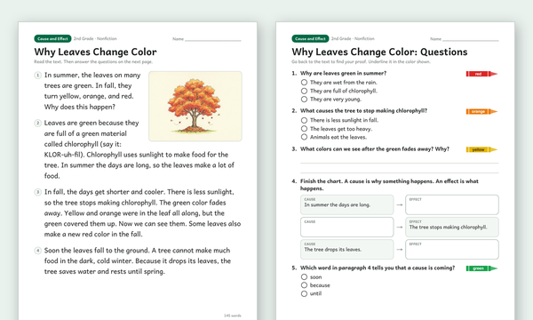 Cause and Effect Worksheets preview