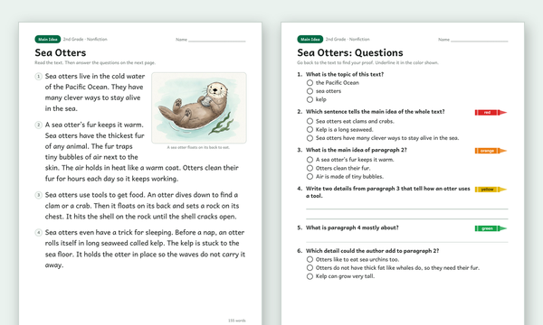 Main Idea Worksheets preview