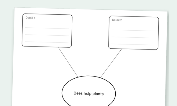 Main Idea Web graphic organizer preview