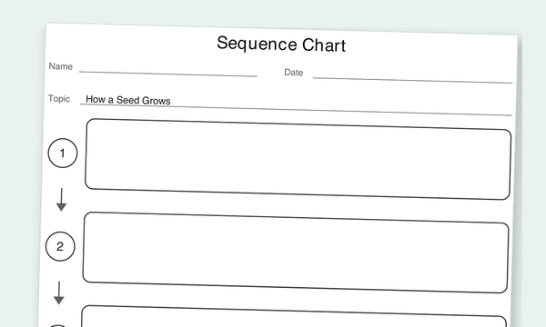 Sequence Chart graphic organizer preview