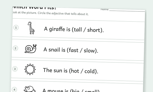 Adjective Worksheets preview