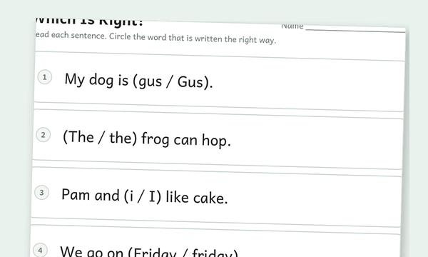 Capitalization Worksheets preview