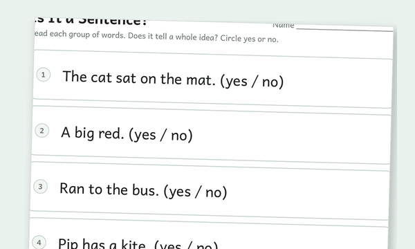 Complete Sentences Worksheets preview