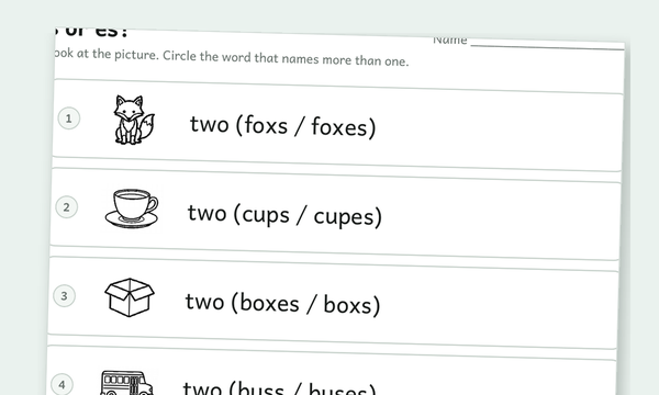 Plural Nouns Worksheets preview