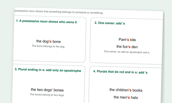 Possessive Nouns Worksheets preview