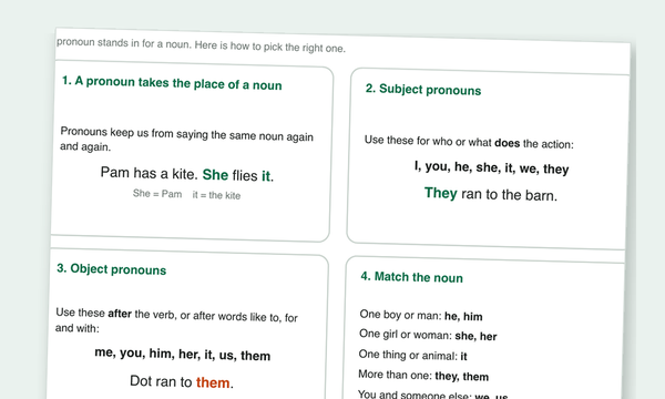 Pronoun Worksheets preview