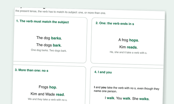 Subject-Verb Agreement Worksheets preview