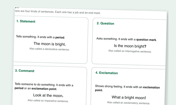 Types of Sentences Worksheets preview