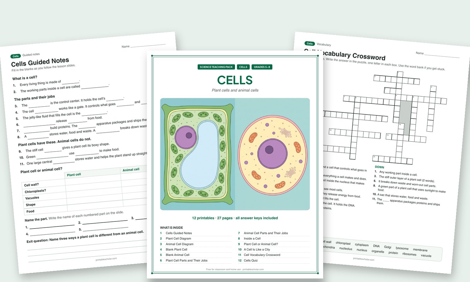 The Cells teaching pack cover with the guided notes and a vocabulary crossword