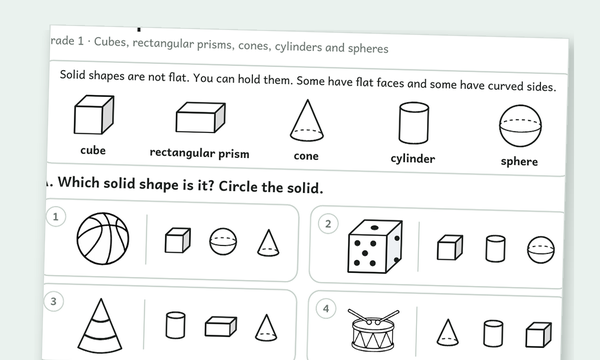 2D and 3D shapes worksheets preview