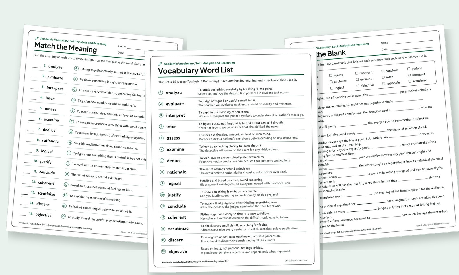 Vocabulary Words preview