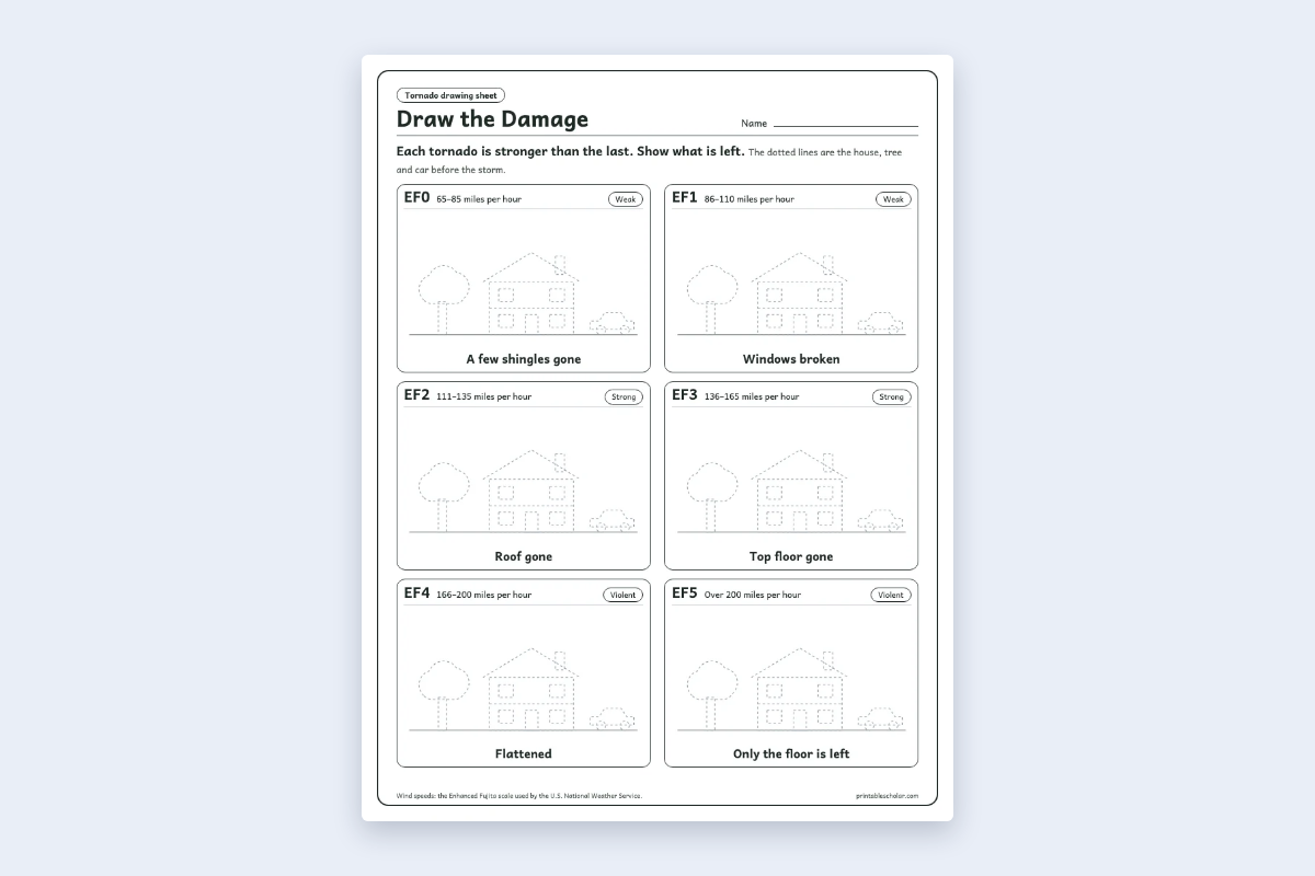 Draw the Damage Worksheet