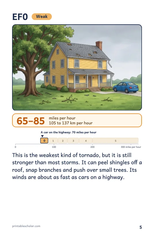 Tornado book page 5: EF0