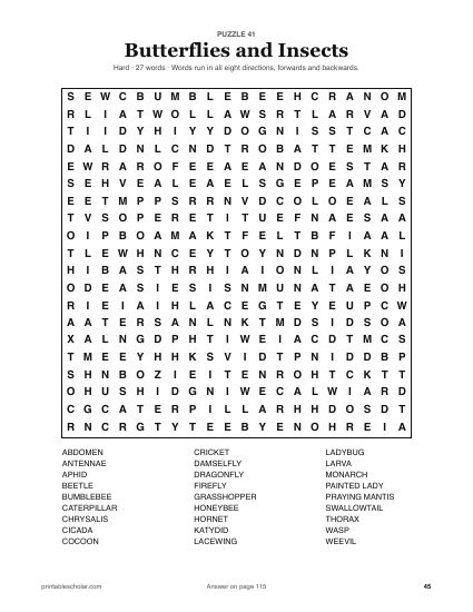 100 Word Searches for Adults, puzzle 41: butterflies and insects