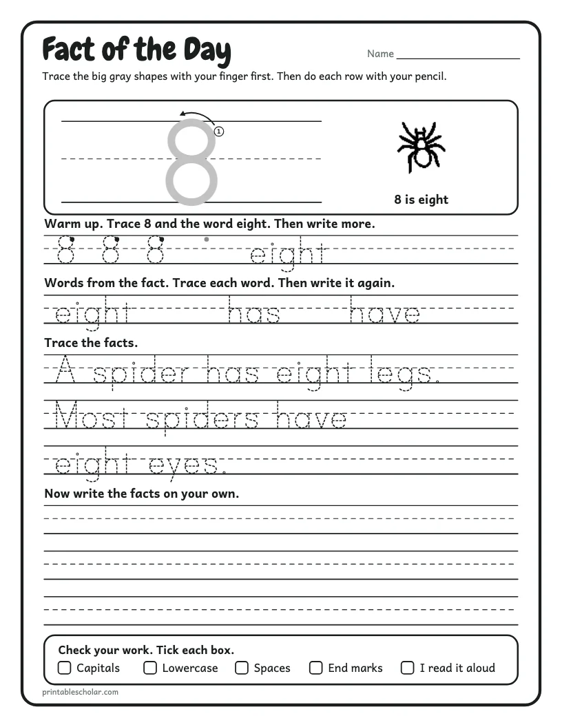 Eight Facts worksheet preview