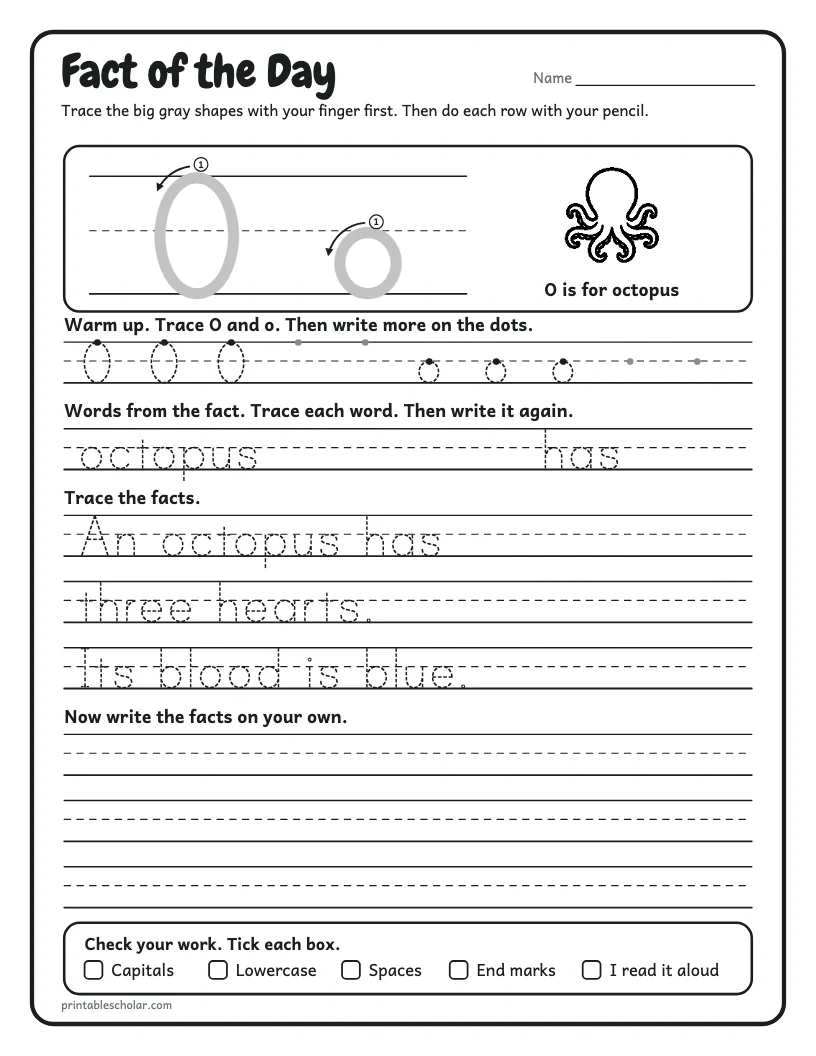 Octopus Facts worksheet preview