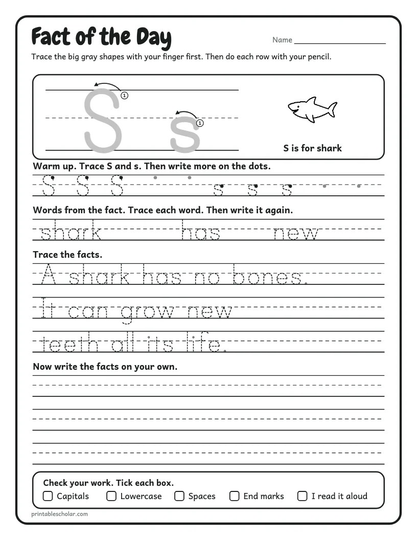 Shark Facts worksheet preview