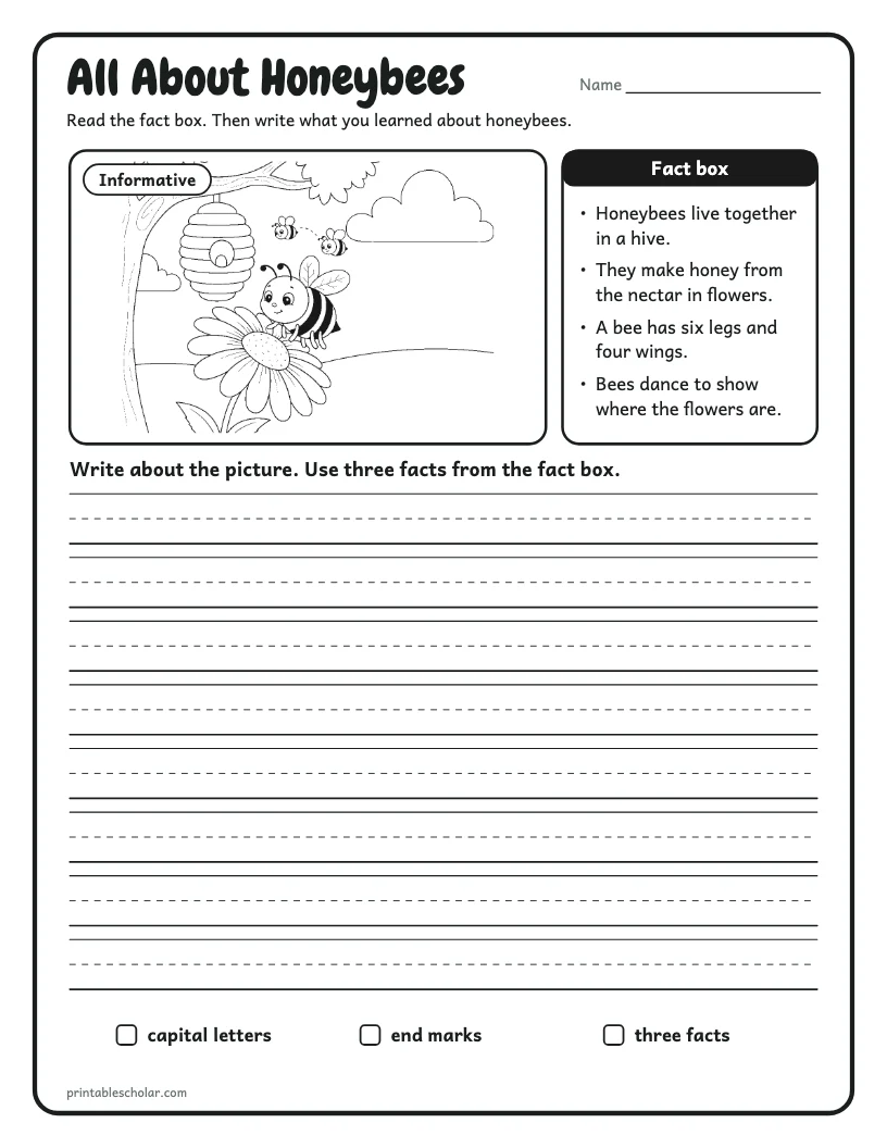 All About Honeybees worksheet preview