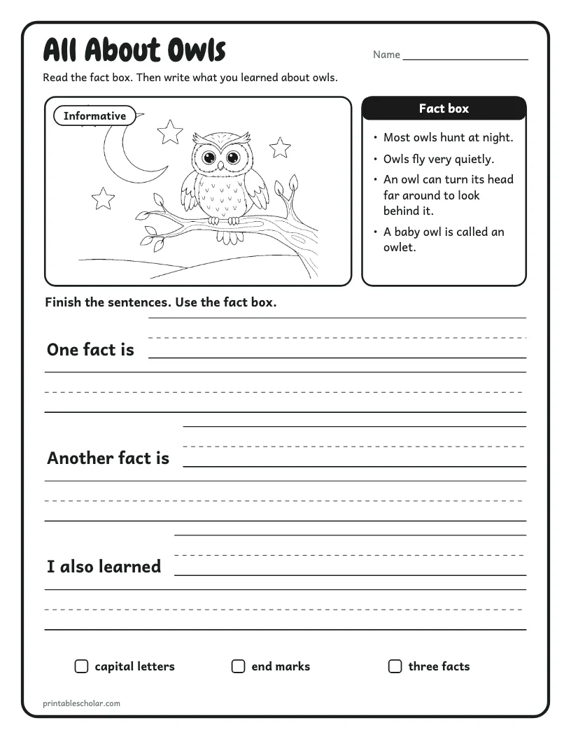 All About Owls worksheet preview