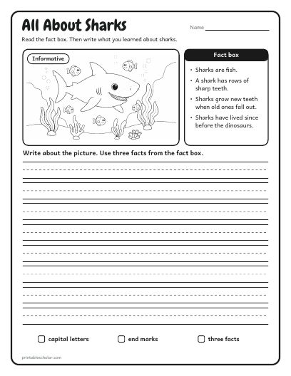 Informative, Level 2: a sheet from the Picture Writing Prompts pack
