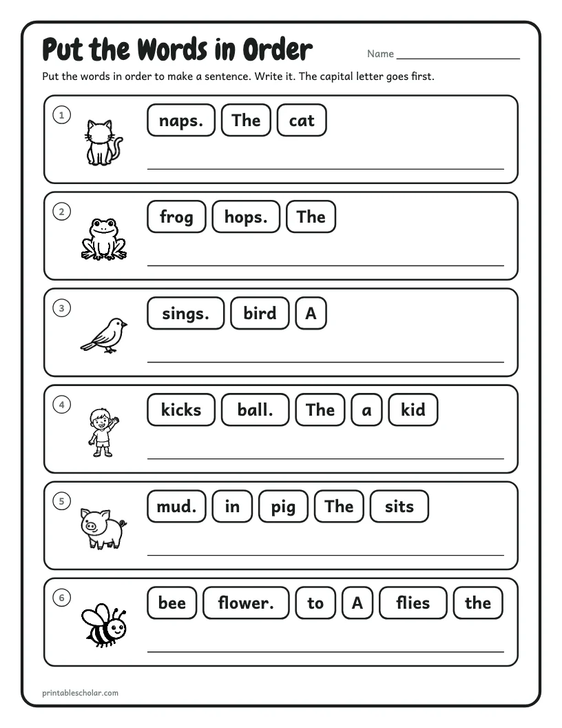 Put the Words in Order worksheet preview