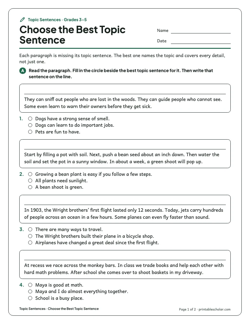Choose the Best Topic Sentence worksheet preview