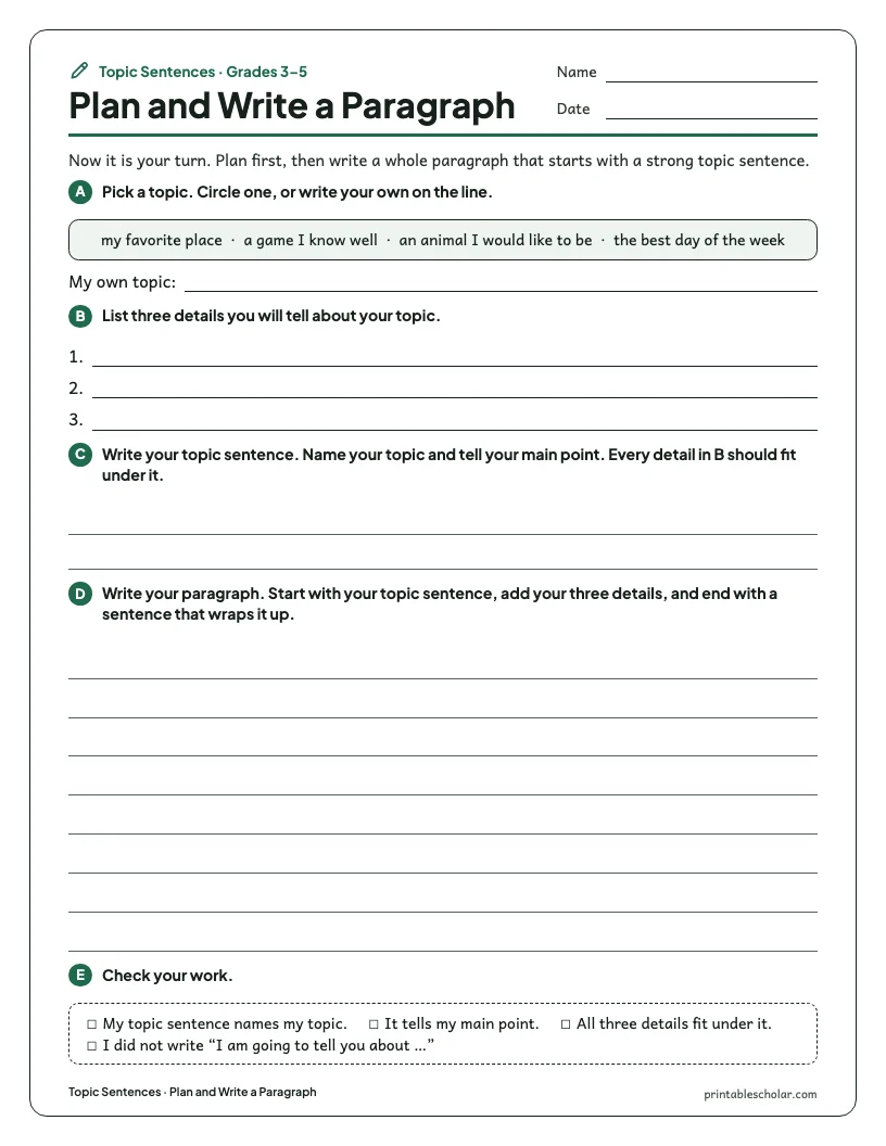 Plan and Write a Paragraph worksheet preview