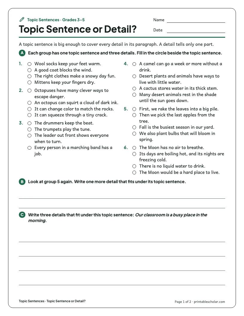 Topic Sentence or Detail? worksheet preview