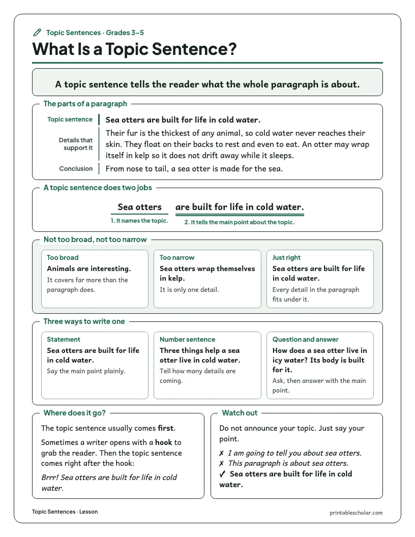 Topic Sentence Worksheets preview