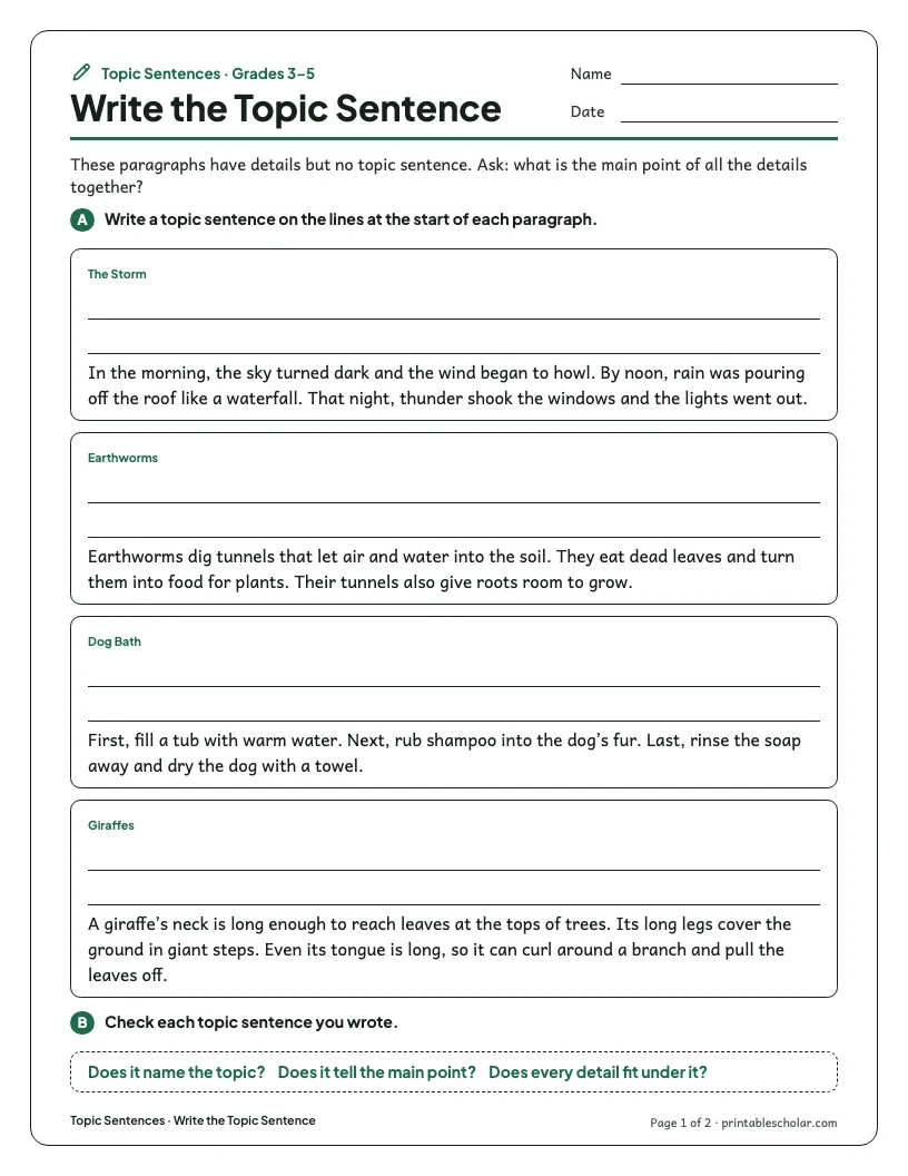 Write the Topic Sentence worksheet preview